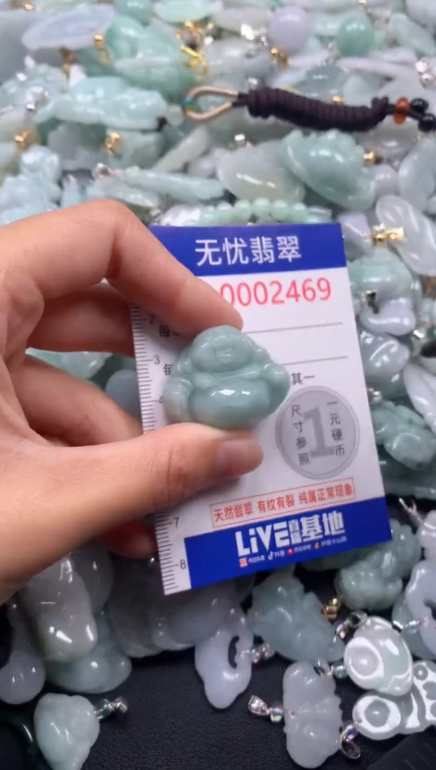 颈饰未镶嵌翡翠2469