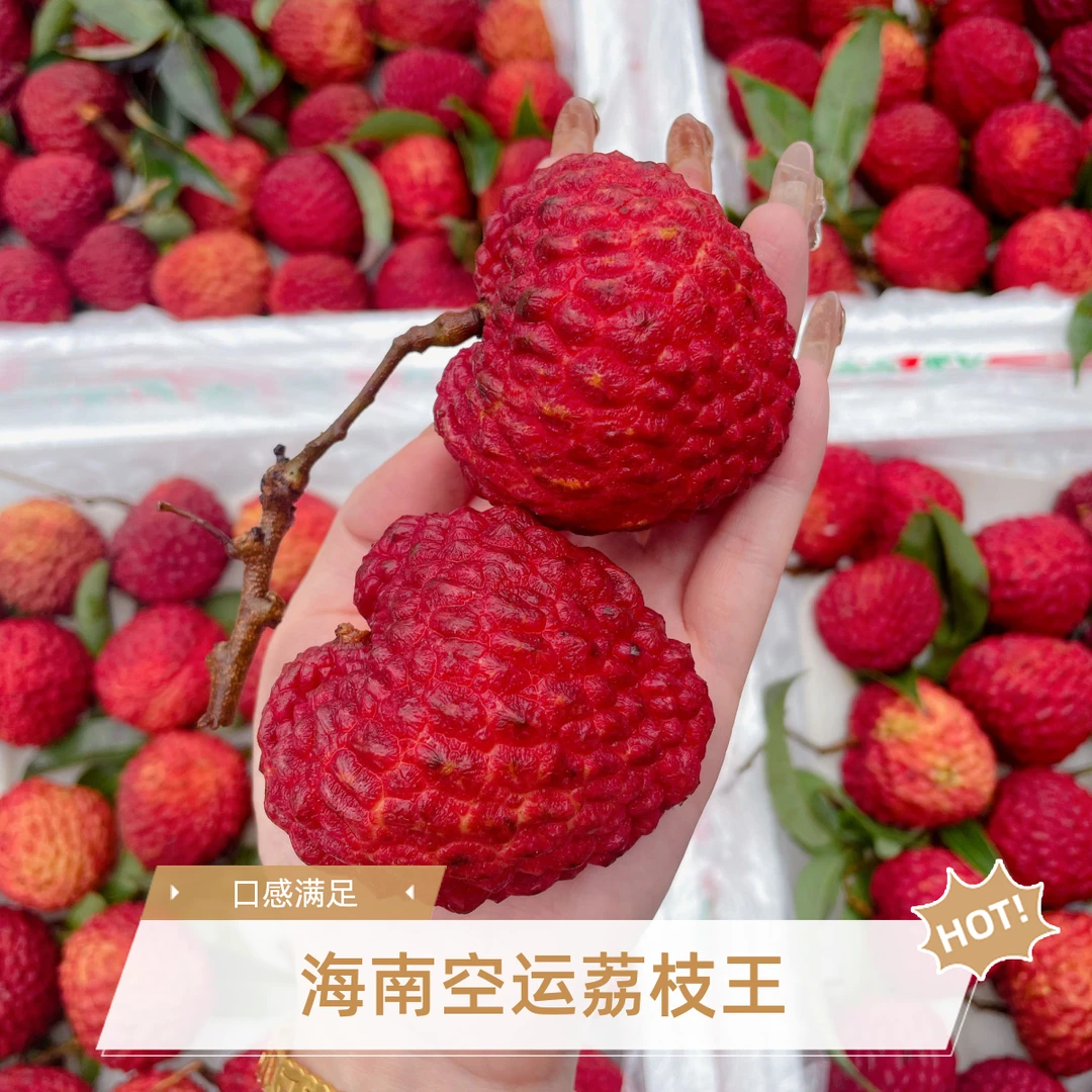 【韩美丽专属】海南空运荔枝王 甄选大果 口口满足 肉厚饱满
