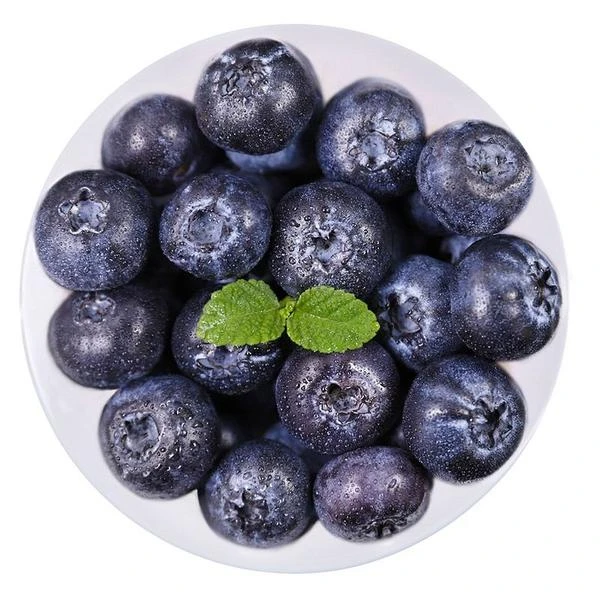 ⑨③• 丹东巨无霸大蓝莓24mm+ 净重400g蓝莓次日达丹东蓝莓辽宁省丹东市