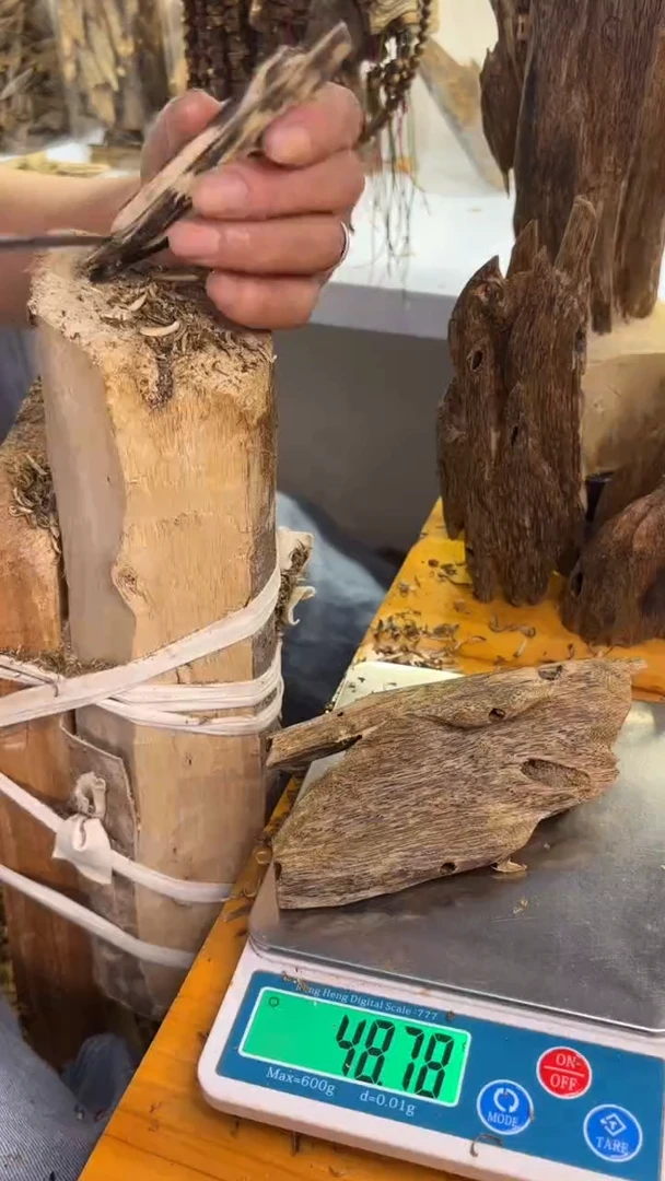 沉香沉香碎屑陆河品种48.7克