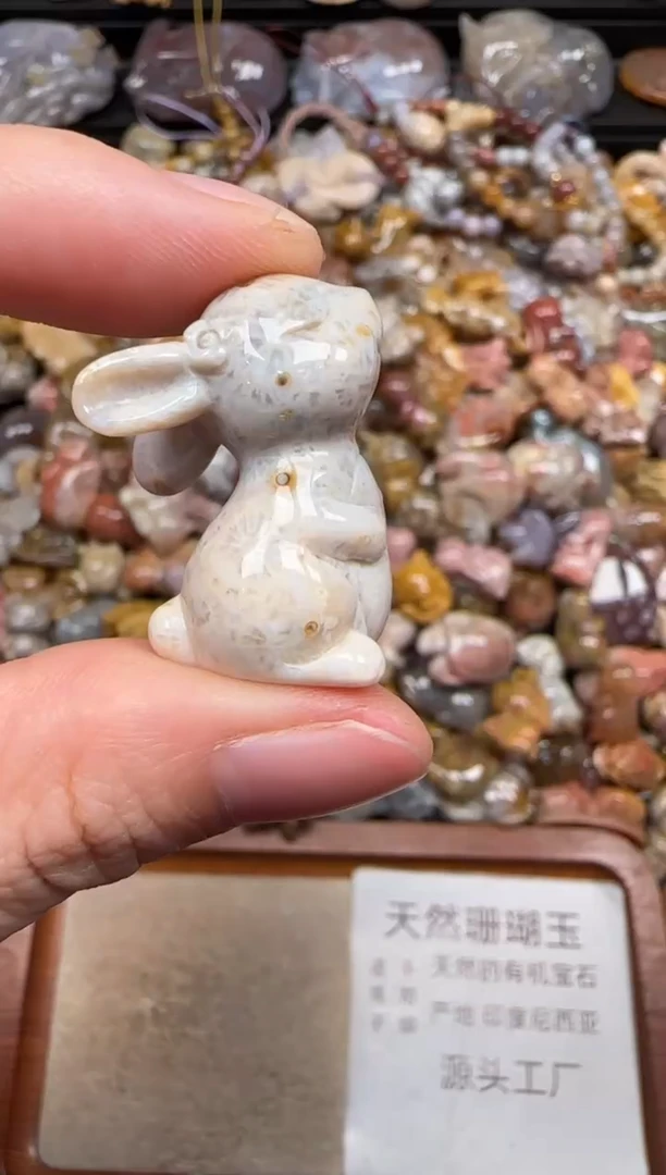 硅化珊瑚（珊瑚玉）未镶嵌颈饰246