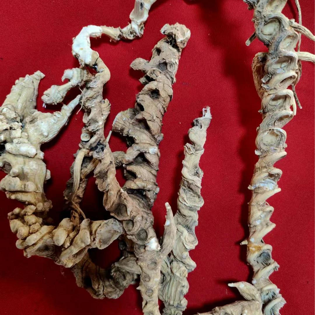 【阿依山货】大号天王参 （可搭配枸杞）100g。