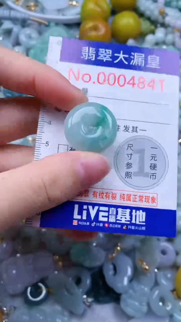 翡翠未镶嵌吊坠(不含链)4841