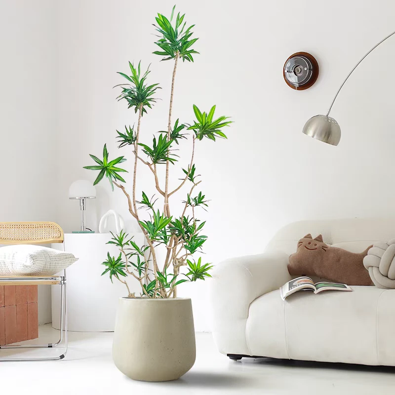 百合竹室内大型绿植北欧风客厅办公室盆栽净化空气