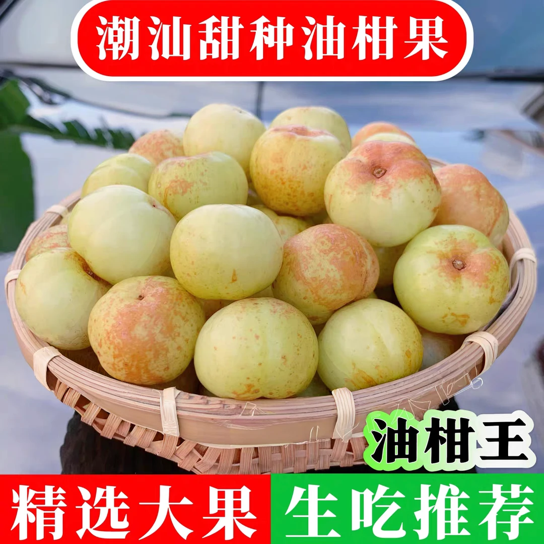 潮汕油甘果新鲜余甘子滇橄榄柿饼甜油甘榨汁孕妇酸水果油甘子