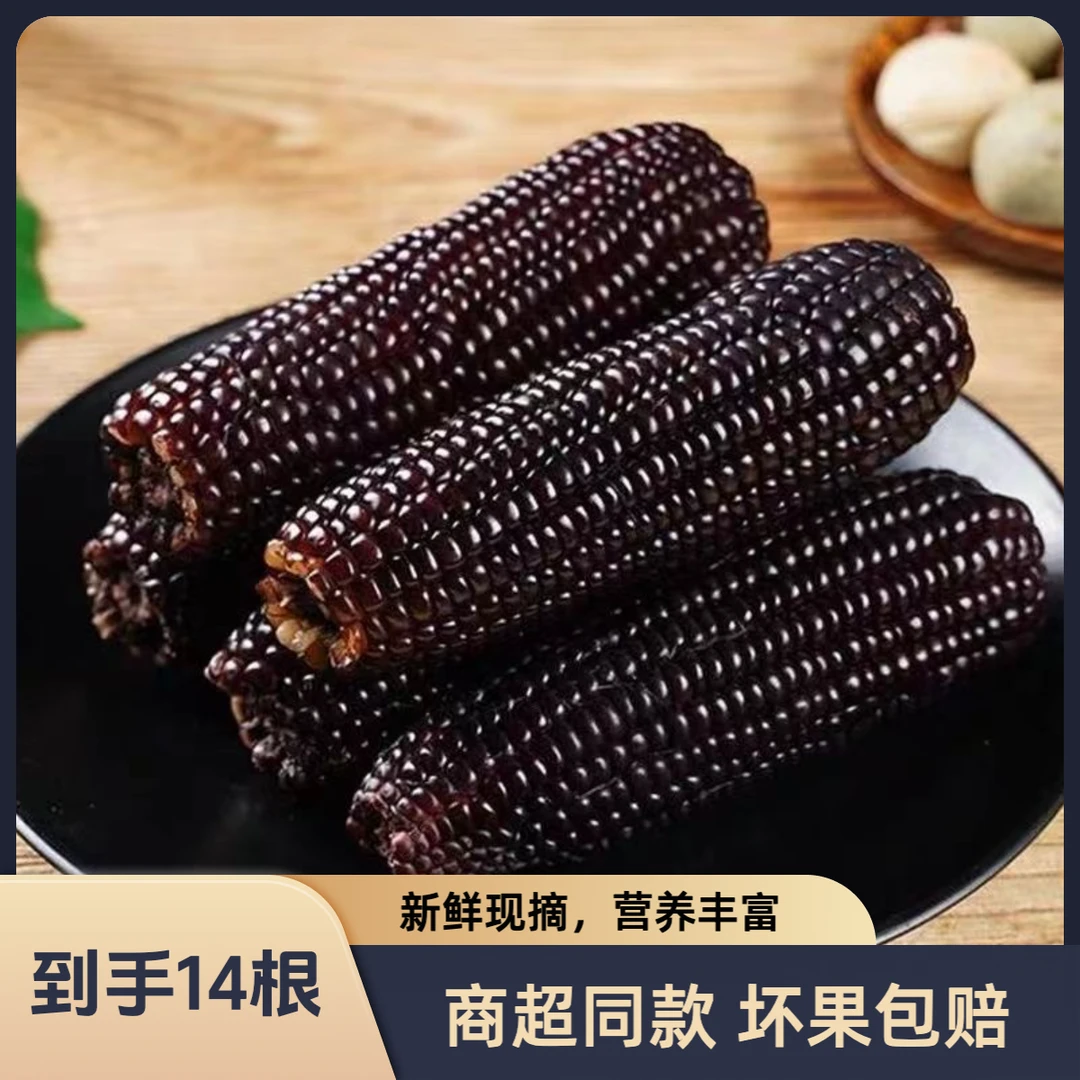 【试吃两根】整箱7斤 黑糯玉米14根 真空包装东北黑土糯玉米