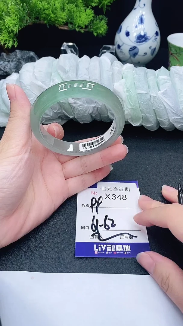 未镶嵌手镯翡翠348
