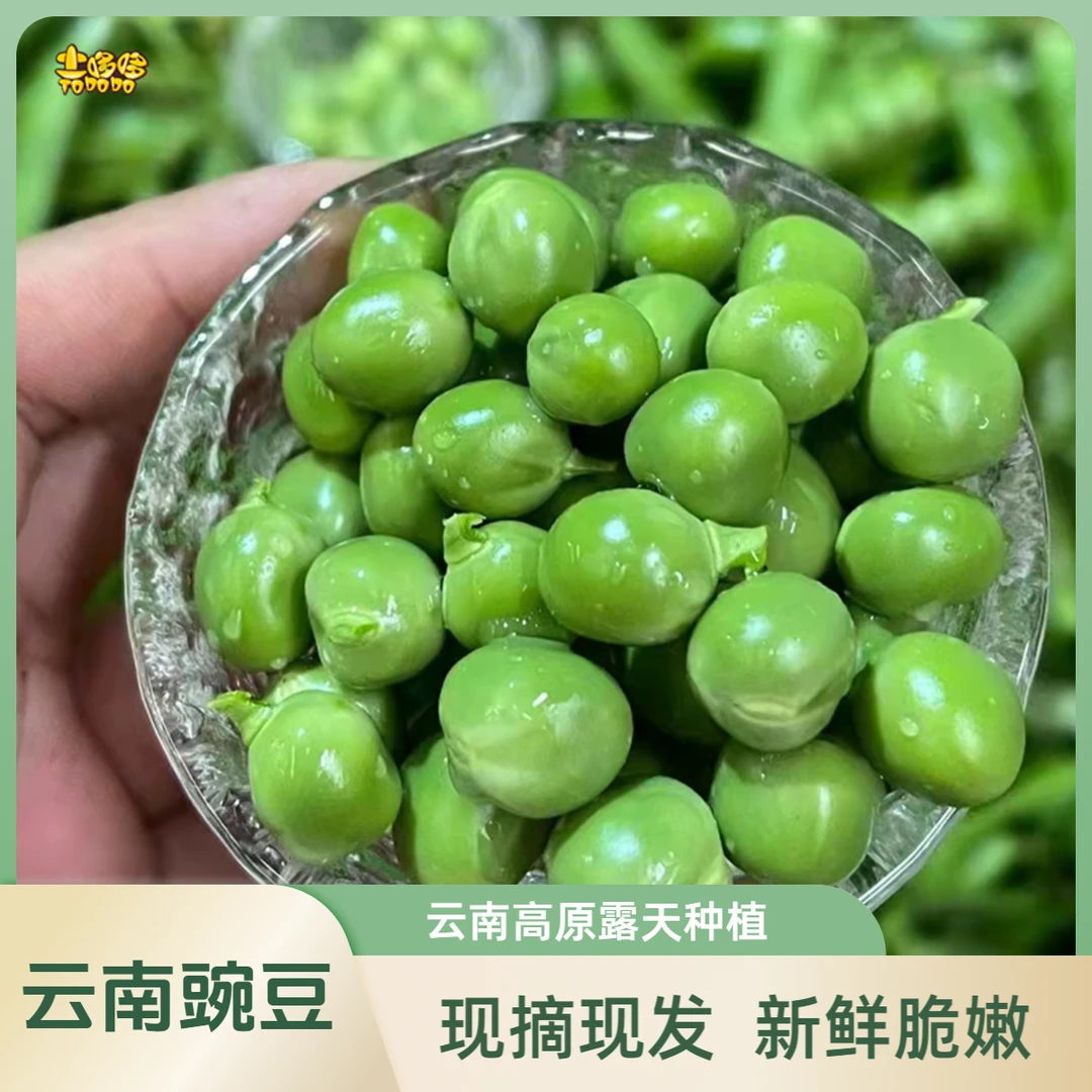 云南高原现摘现发露天豌豆，清香脆嫩3斤/5斤