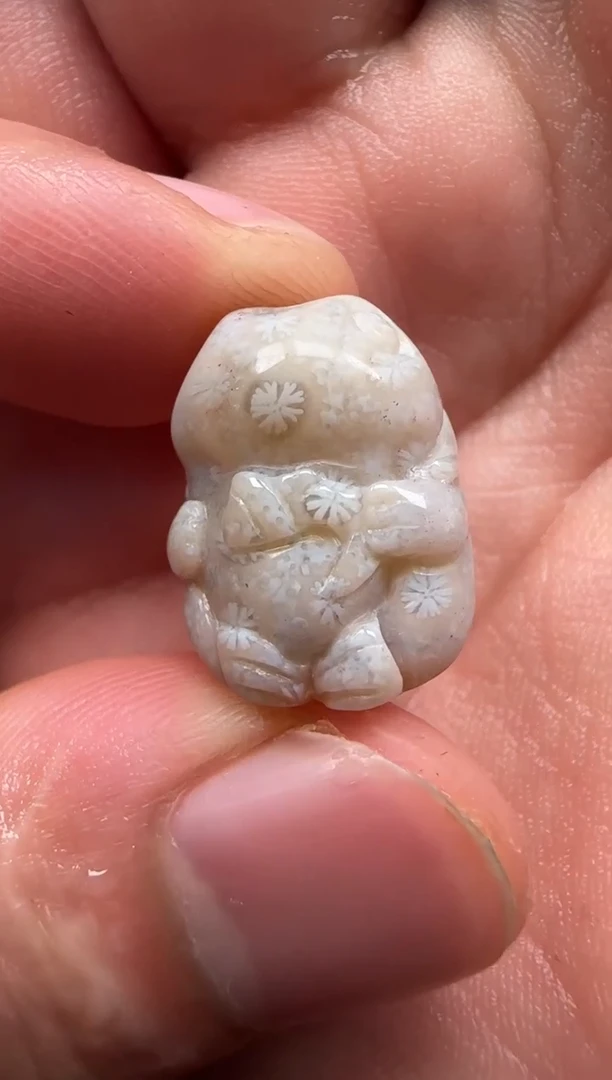 【闪购商品】硅化珊瑚（珊瑚玉）颈饰未镶嵌542
