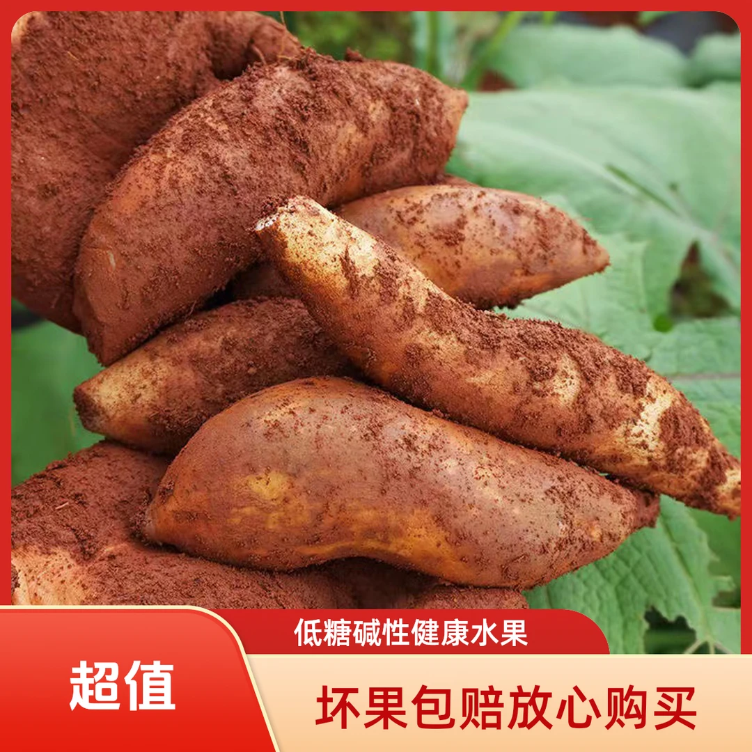 【坏果包赔】云南高原山红泥沙雪莲果新鲜黄心应季碱性低糖水果包邮