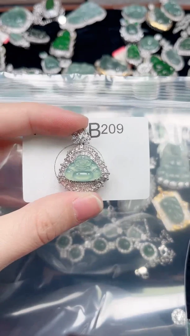 翡翠未镶嵌颈饰赠皮绳209