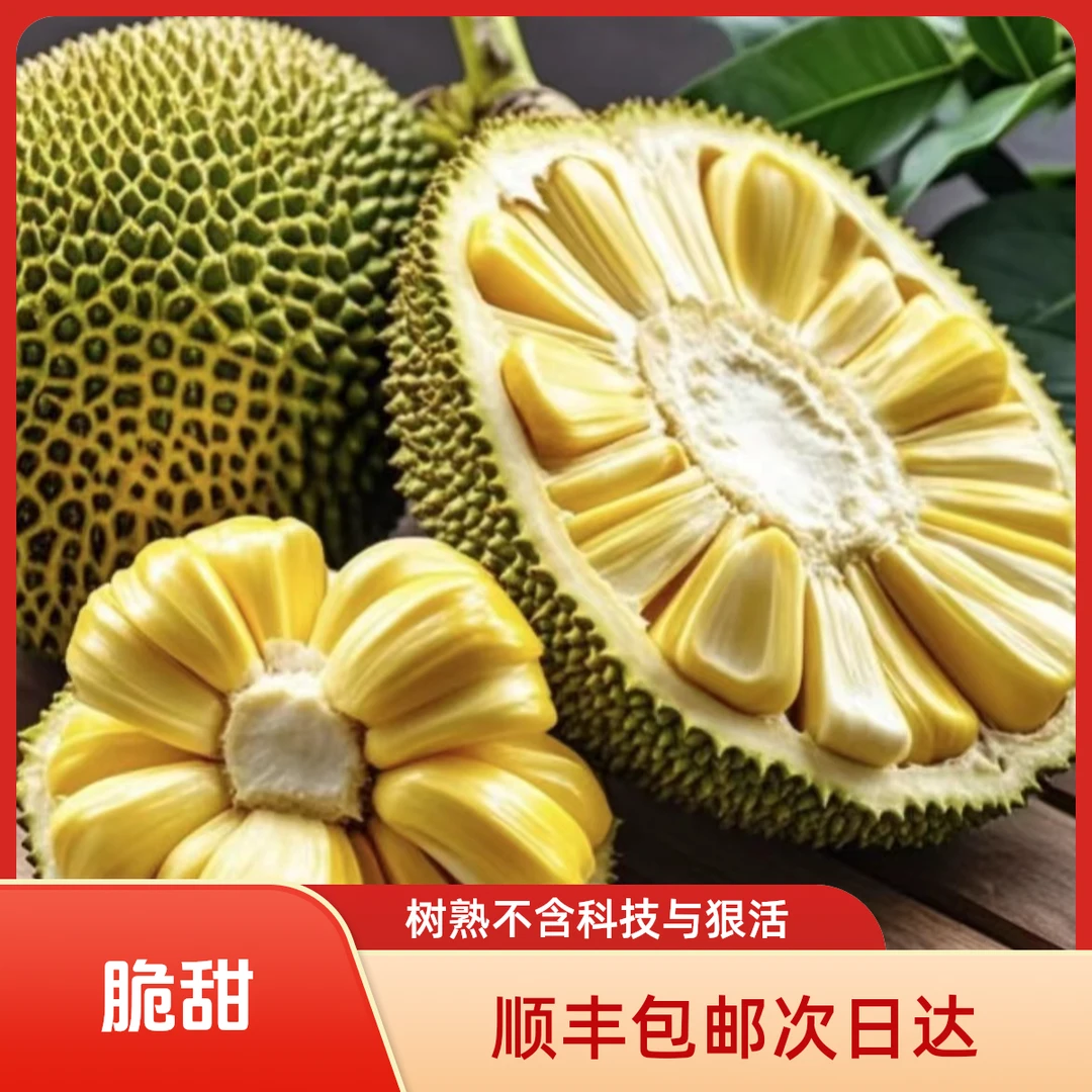 【顺丰次日达】正宗越南菠萝蜜树熟鲜果一整果发货黄肉整果黄肉菠萝蜜越南社会主义共和国