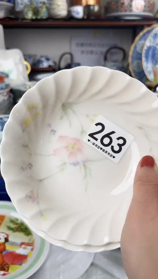 瓷片263..............