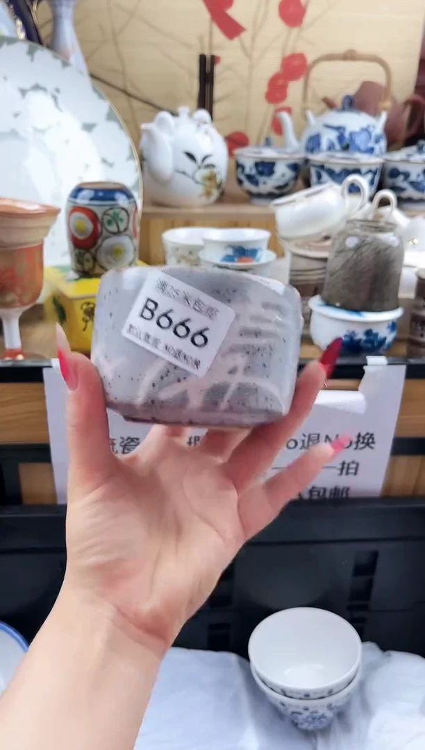 ==============b666