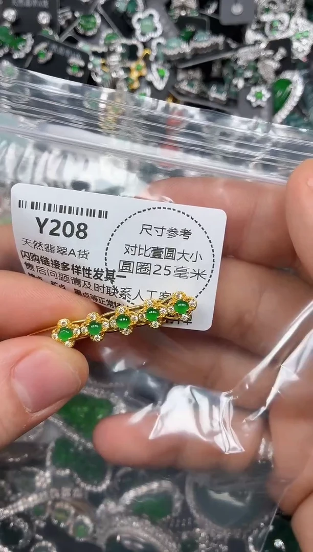 颈饰未镶嵌翡翠Y208发夹