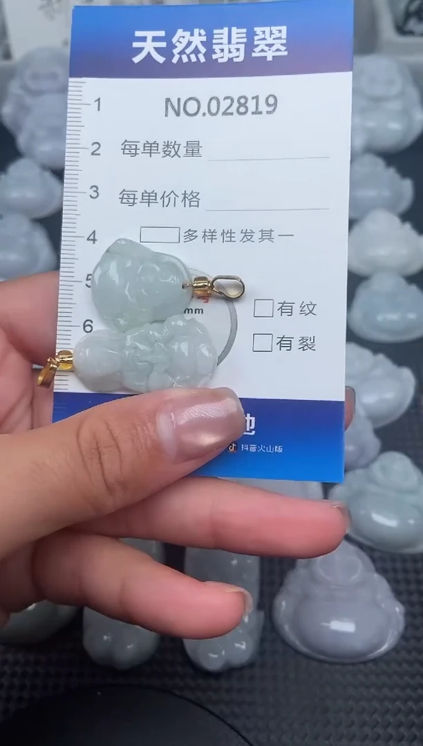 颈饰未镶嵌翡翠纯天然A货翡翠2819