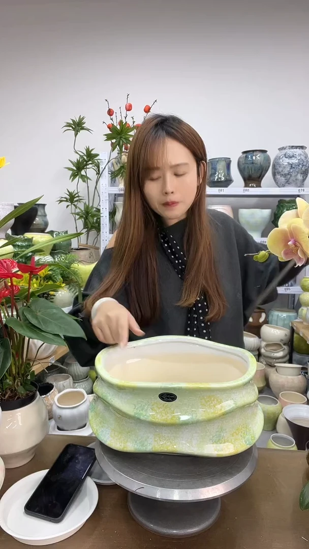 11.25陶瓷花盆直播链接高       口    29