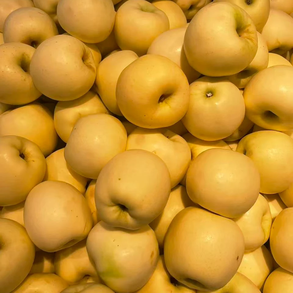 特价黄元帅苹果 2斤（水果）