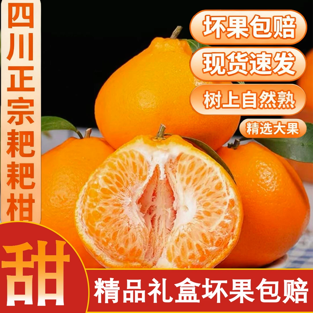 【真~耙耙柑】正宗四川春见耙耙柑香甜爆汁鱼子酱口感清甜爽口农家