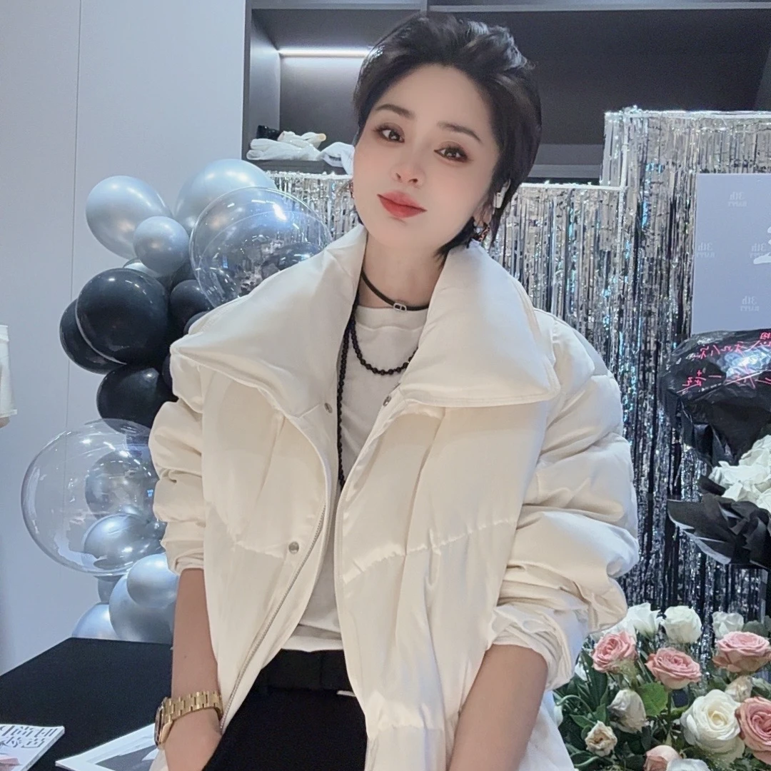 FANYE 2024冬季新款轻奢极简百搭翻领双色鹅绒服时尚890121