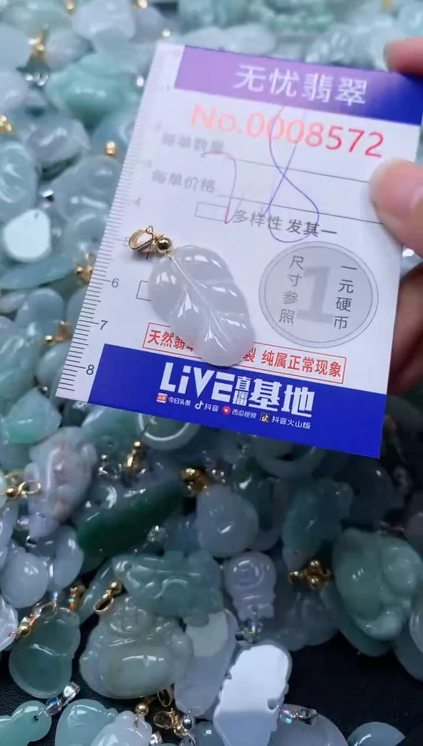 颈饰未镶嵌翡翠8572