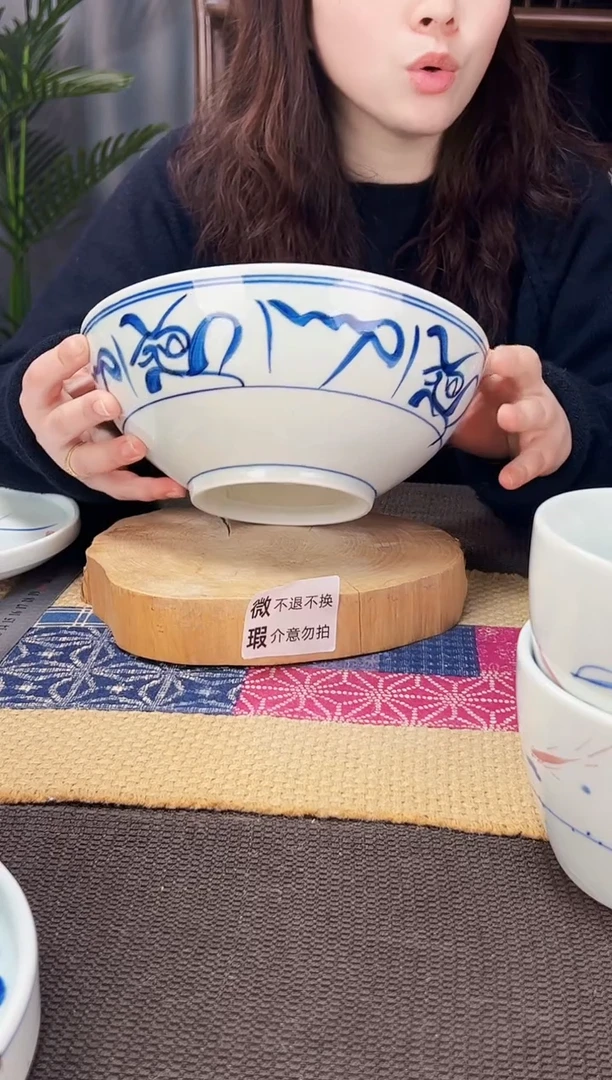 【闪购商品】碗微瑕山茶花9寸老面碗