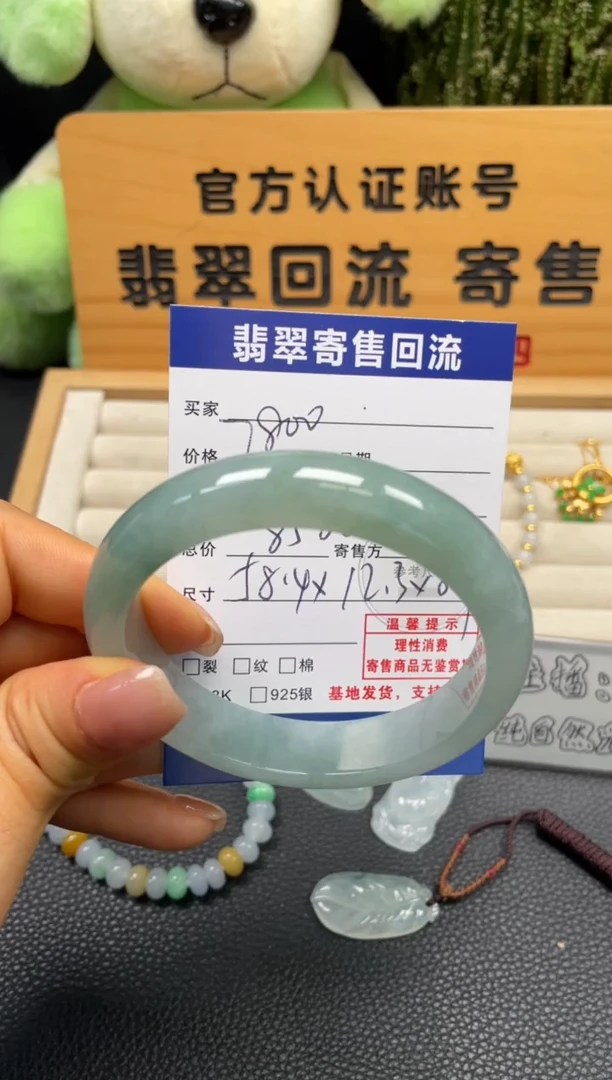 未镶嵌手镯翡翠10150725