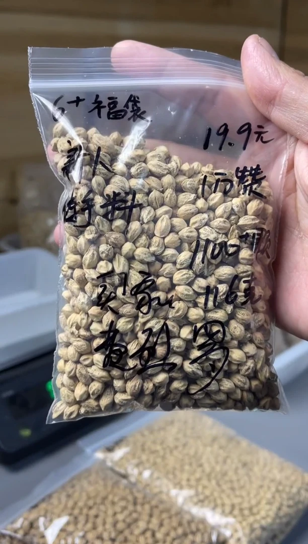 【闪购商品】柏香籽/百香籽手串合上柏香热振散籽费列罗