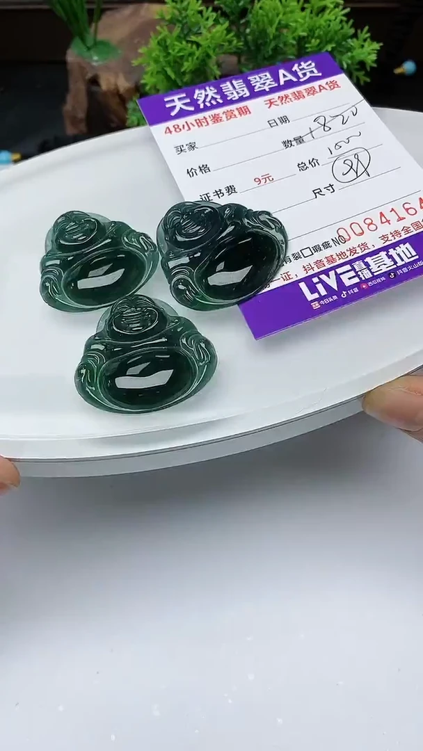 【闪购商品】翡翠颈饰未镶嵌多样性发其一