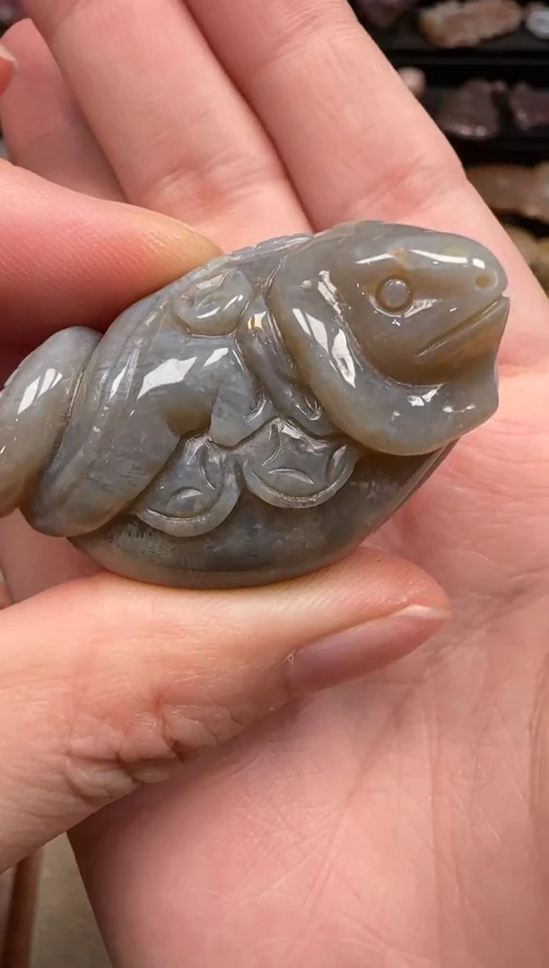 硅化珊瑚（珊瑚玉）未镶嵌颈饰577