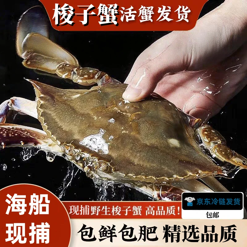 【保鲜不保活】吕四渔港野生梭子蟹3/5斤单只4-6两6-12只左右野生梭子蟹顺丰/京东发货