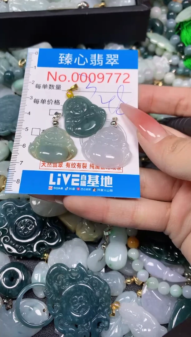 【闪购商品】翡翠颈饰未镶嵌含绳0009772