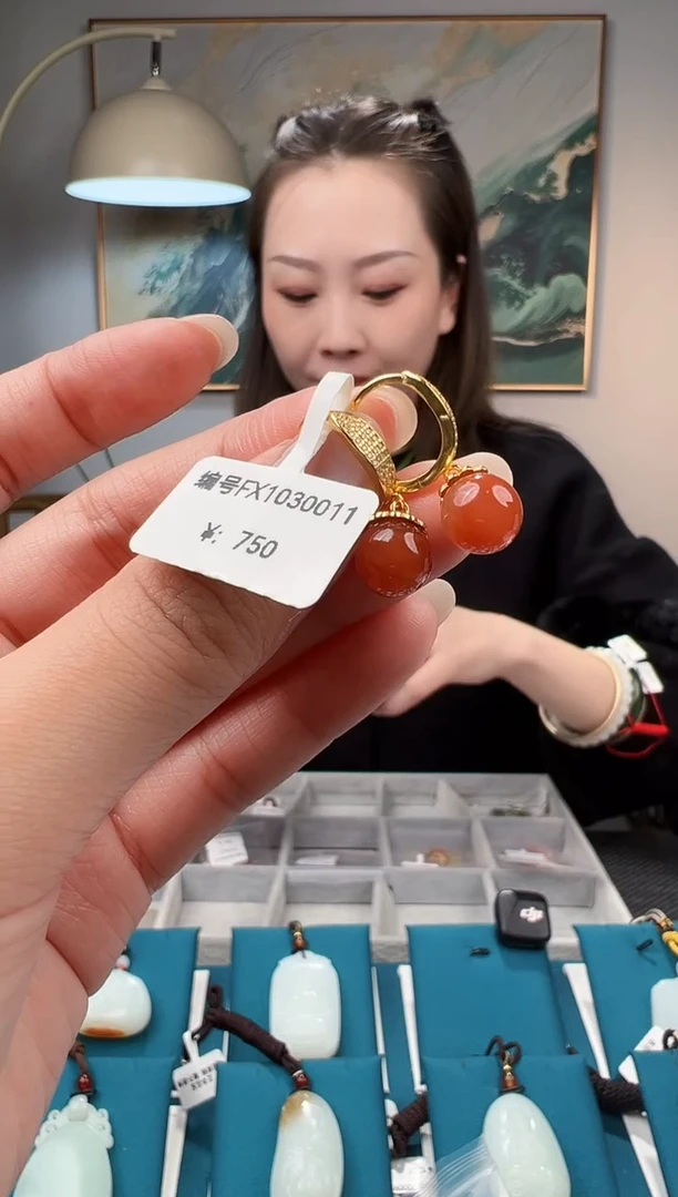 颈饰未镶嵌南红玛瑙耳饰 FX