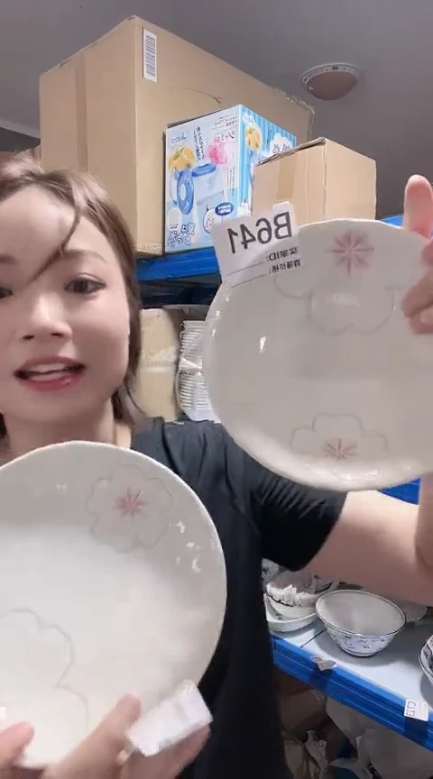 瓷片全新高端瓷器16cm钵+碟B641