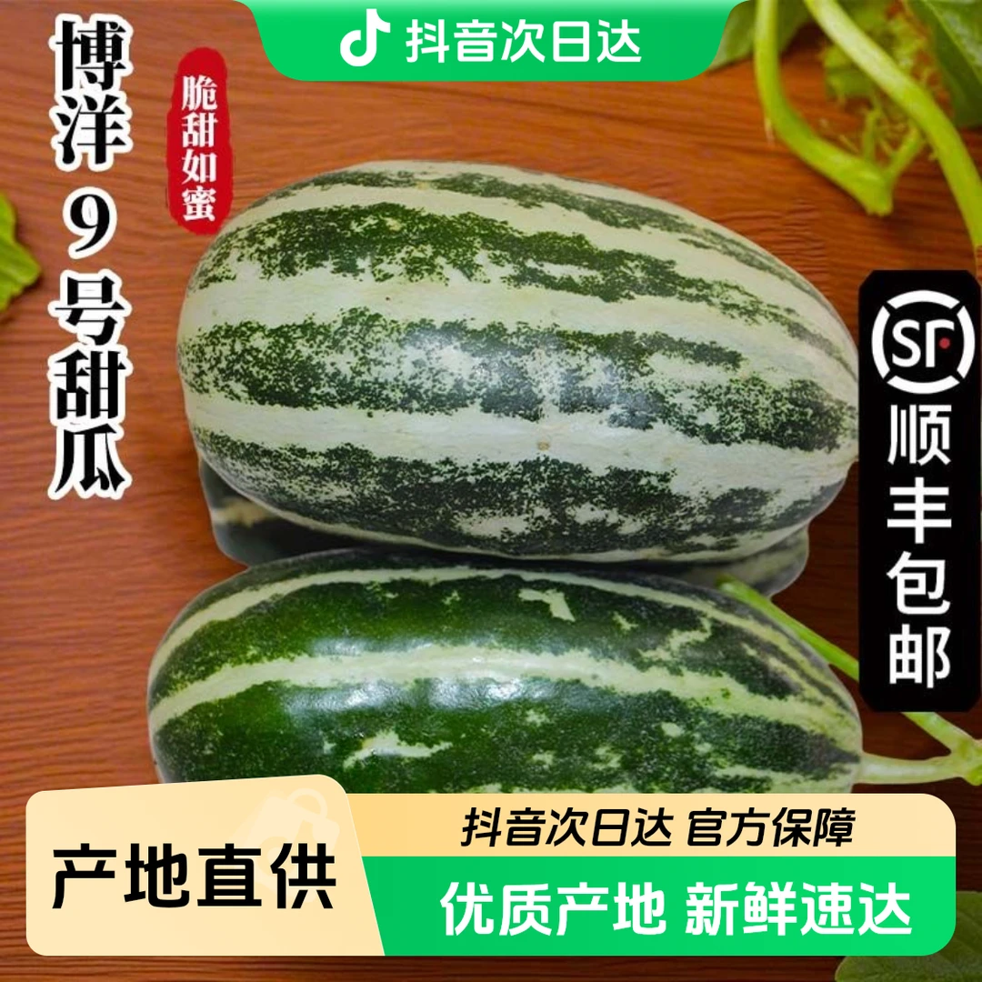 【汇峰鲜享】博洋9号甜瓜3斤和5斤装 新鲜现摘 顺丰包邮