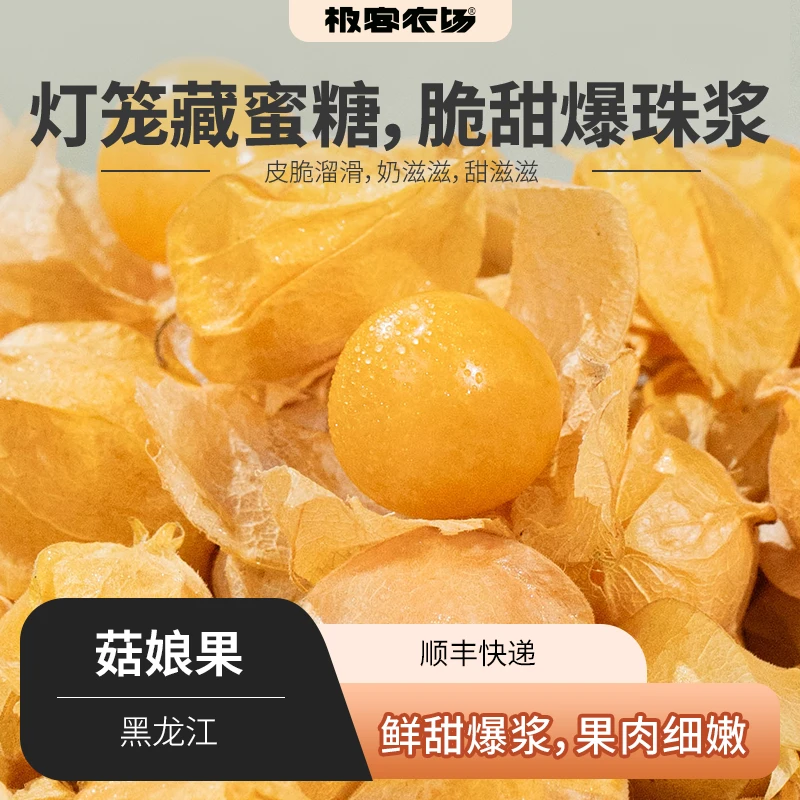 菇娘果 鲜甜爆浆 果肉细腻 皮脆溜滑 奶滋滋 甜滋滋 顺丰 750g