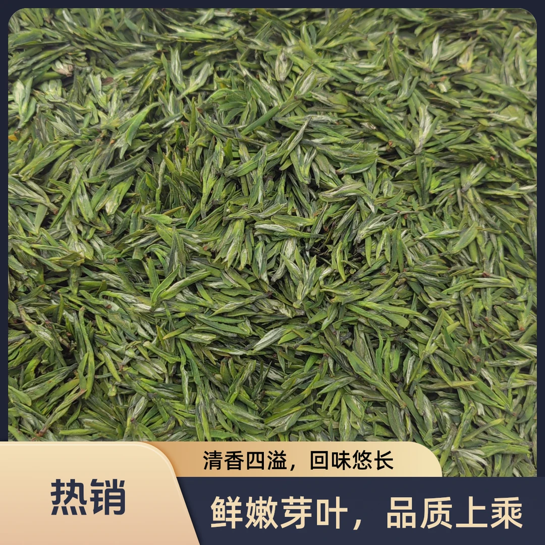 2025新茶春茶湖北宜昌雨花明前茶2025茶叶茶叶绿茶2025茶叶茶叶