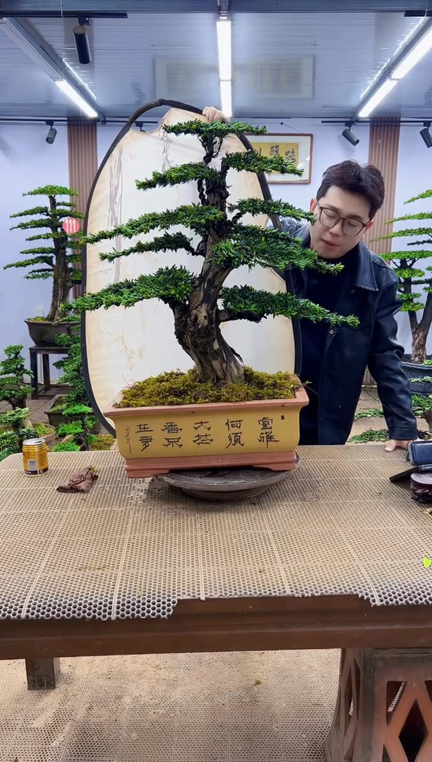 一物一拍，所见即所得