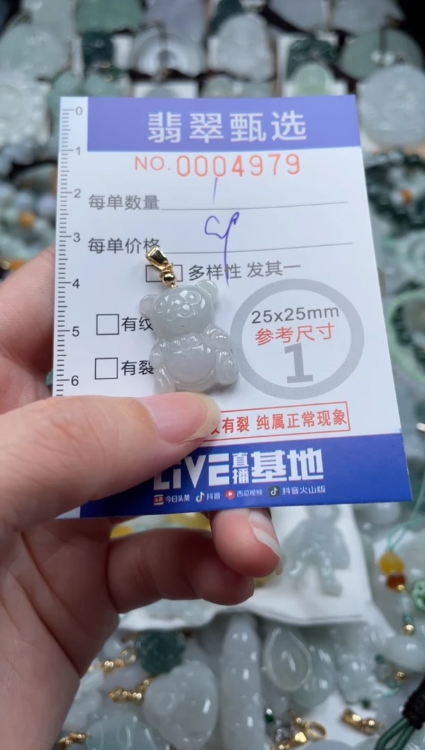 翡翠未镶嵌颈饰00..4979