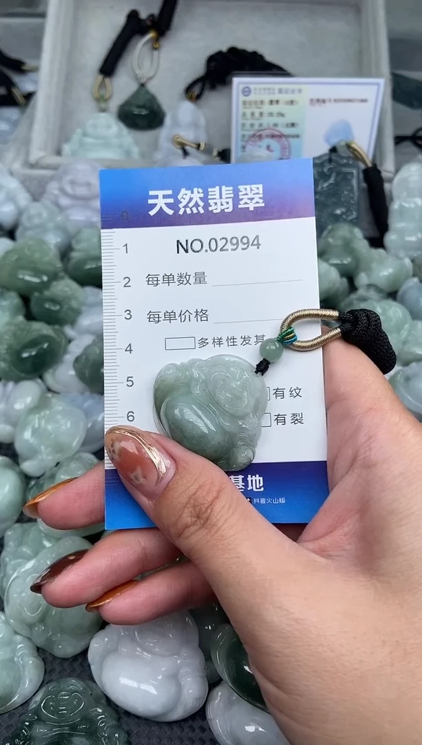 颈饰未镶嵌翡翠纯天然A货翡翠2994