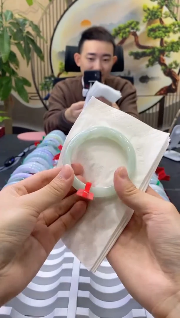 未镶嵌手镯翡翠9542