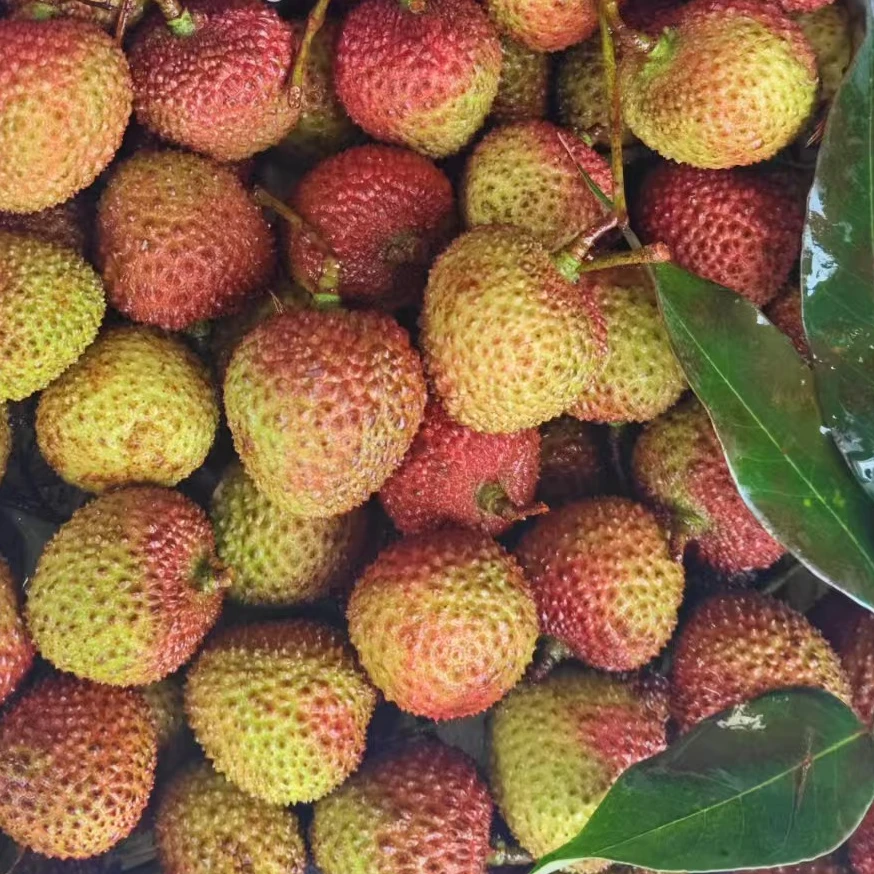 妃子笑荔枝一斤（约20个）新鲜