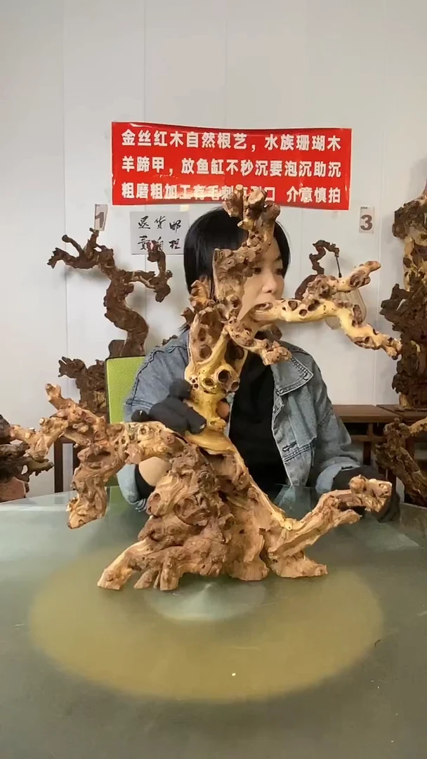 香榧木拾*金丝红木 羊蹄甲