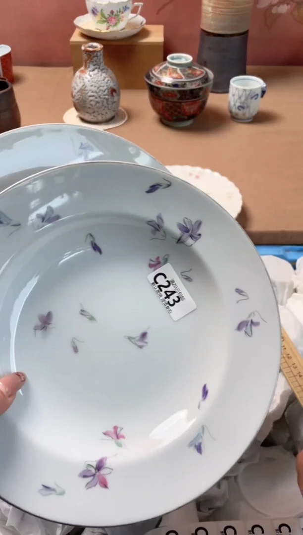 瓷片摘****亮瓷器瓷器C243