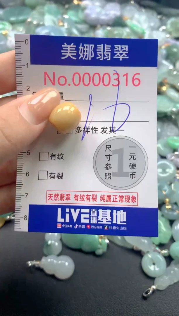 颈饰未镶嵌翡翠316