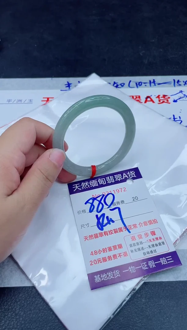 未镶嵌手镯翡翠880.0000