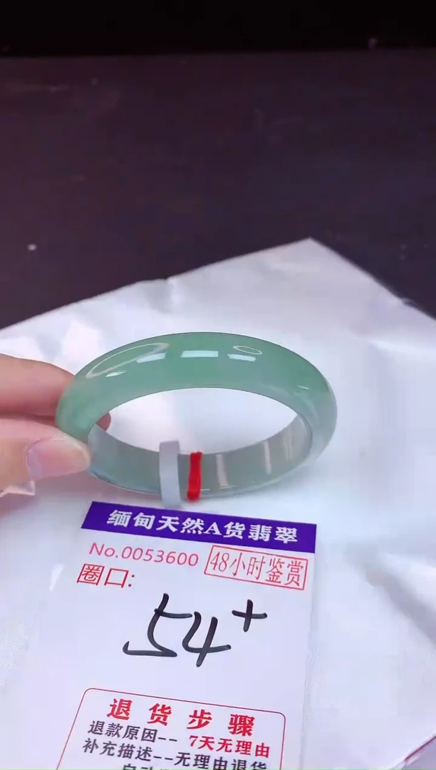 未镶嵌手镯翡翠54（48小时鉴赏期 ）
