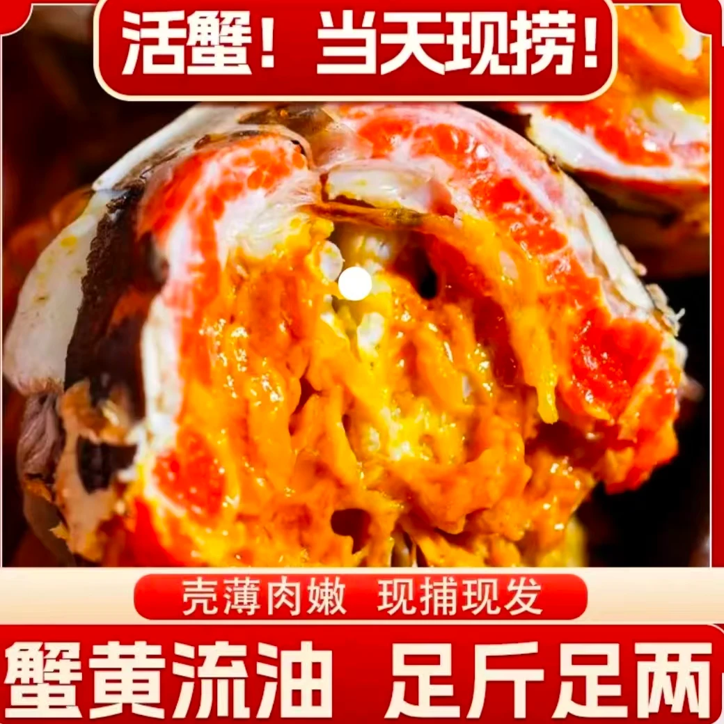 【活蟹鲜活】苏州精品大闸蟹公3.6-3.3两母2.6-2.3两6只螃蟹