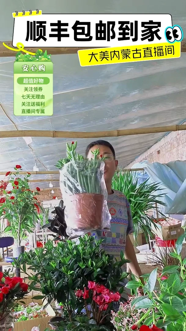 完全开放大颗珊瑚棒