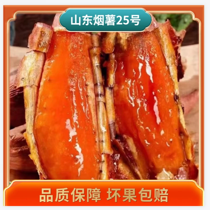 【假一赔十】正宗山东烟薯25号糖心糖化坏烂包赔商超精选品质
